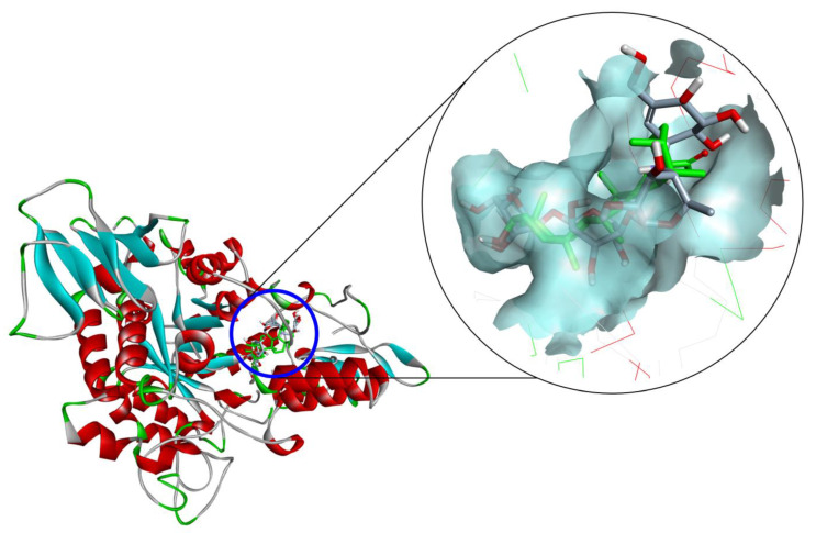 Figure 4