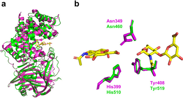 Figure 7