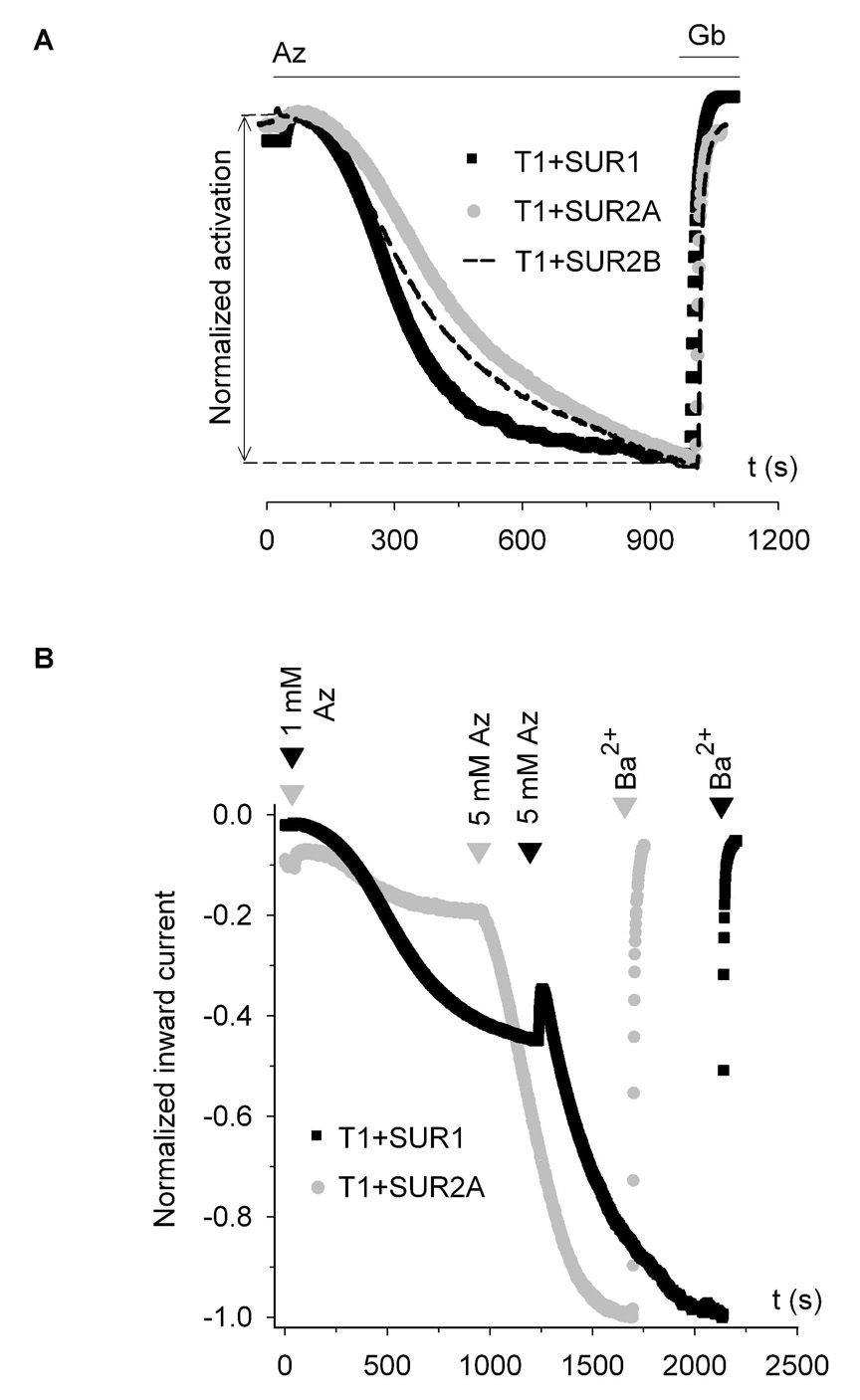 Fig. 9