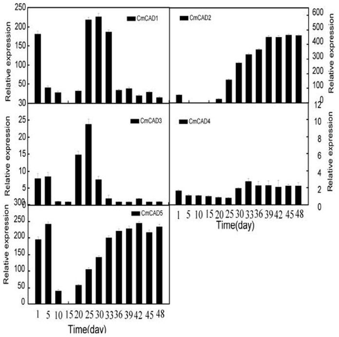 Figure 5