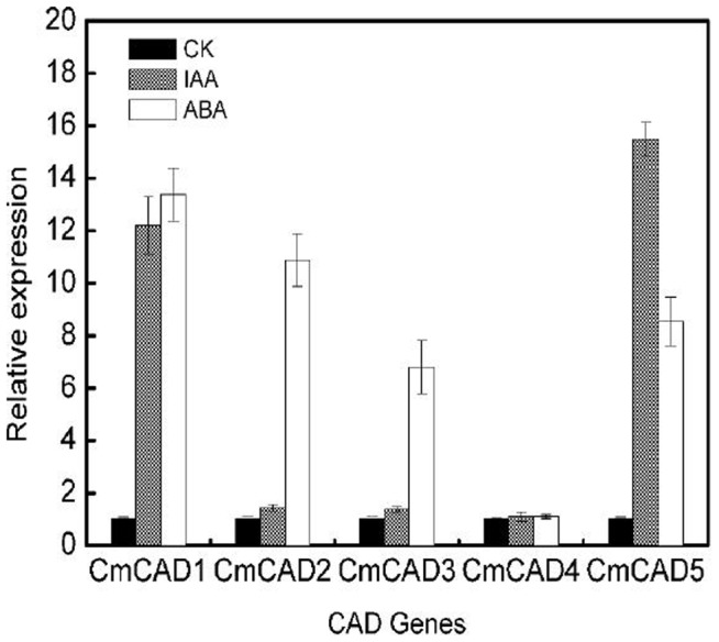 Figure 6