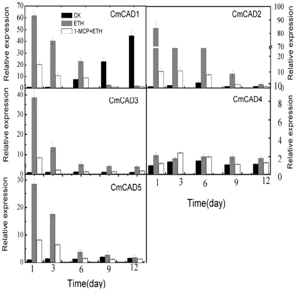 Figure 7