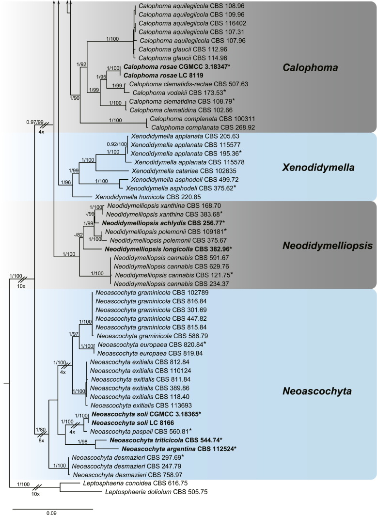 Fig. 1