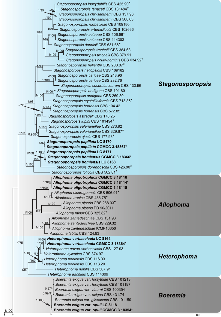 Fig. 1