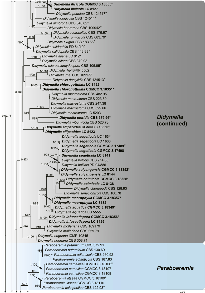 Fig. 1