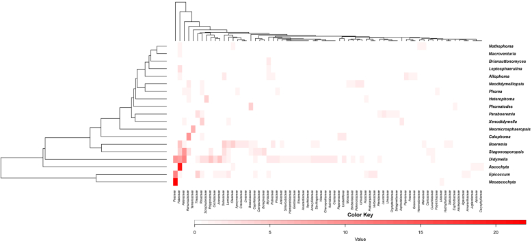 Fig. 2