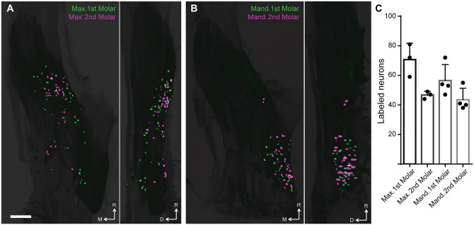 Figure 2.