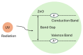Figure 19
