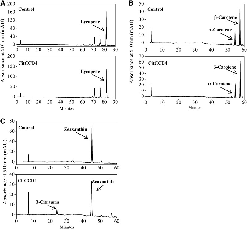 Figure 7.