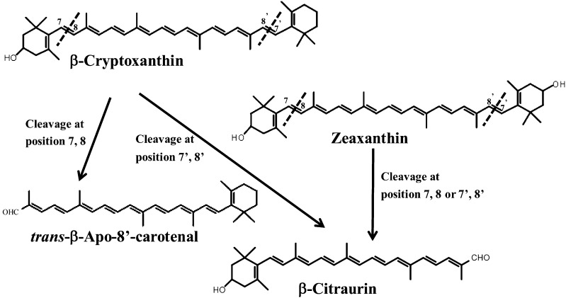 Figure 10.