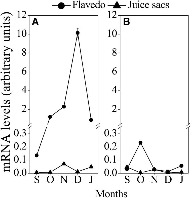 Figure 5.