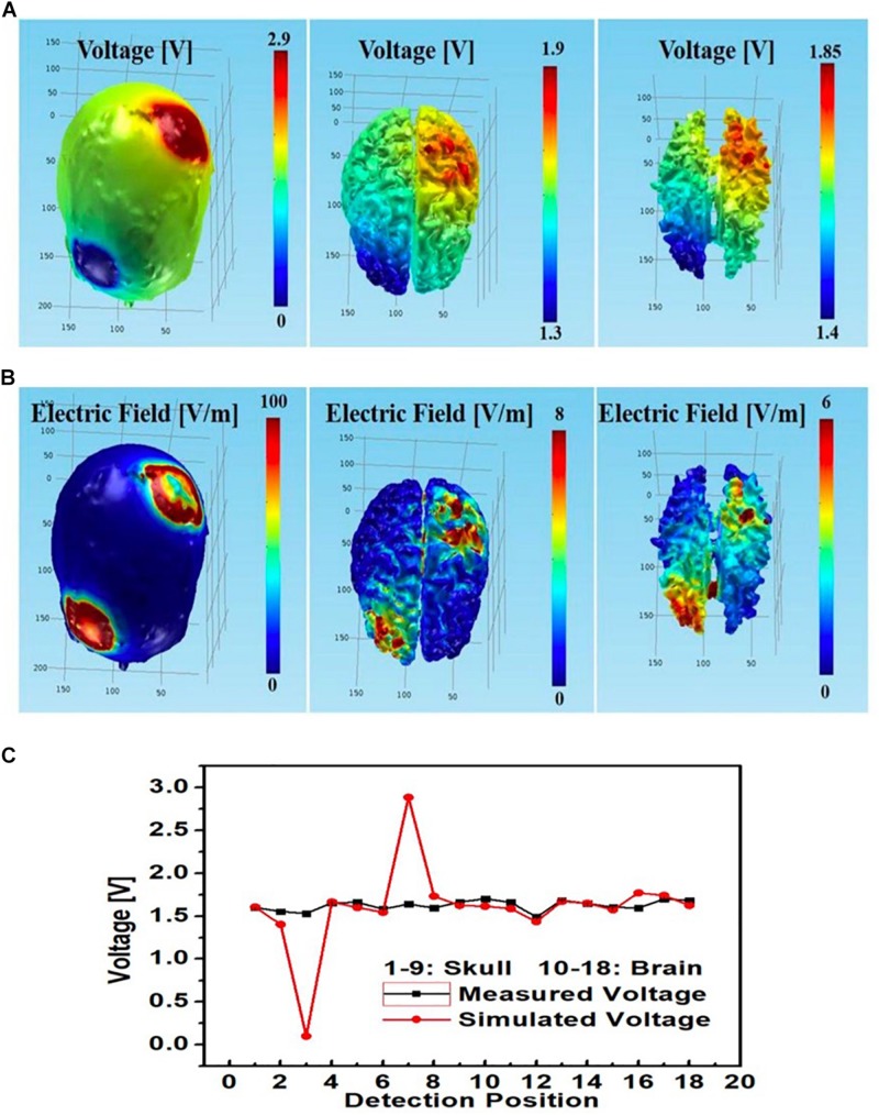 FIGURE 11