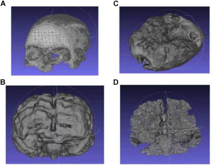 FIGURE 5