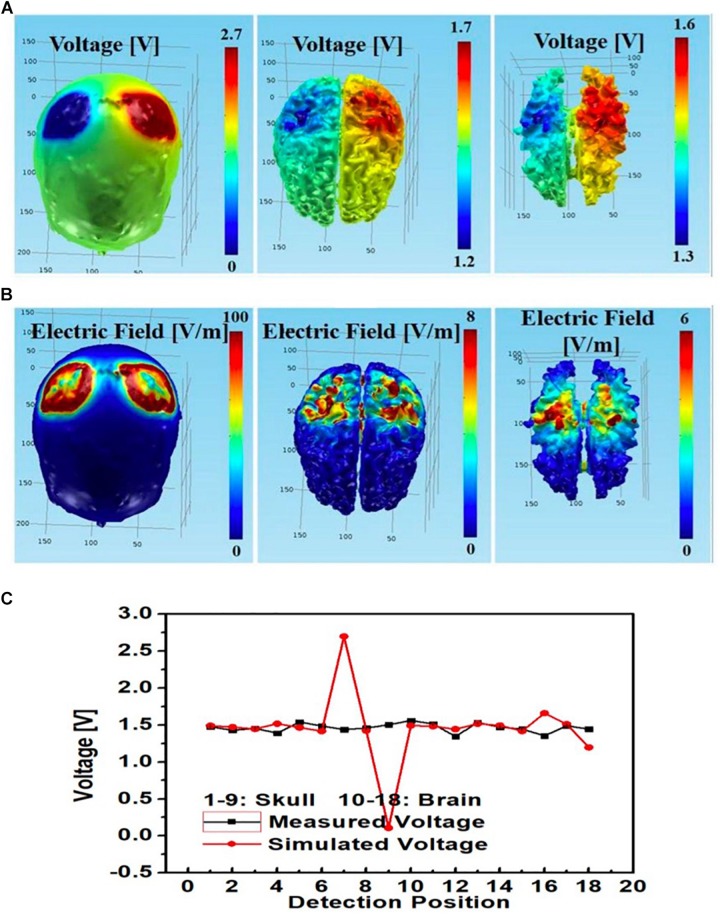 FIGURE 12