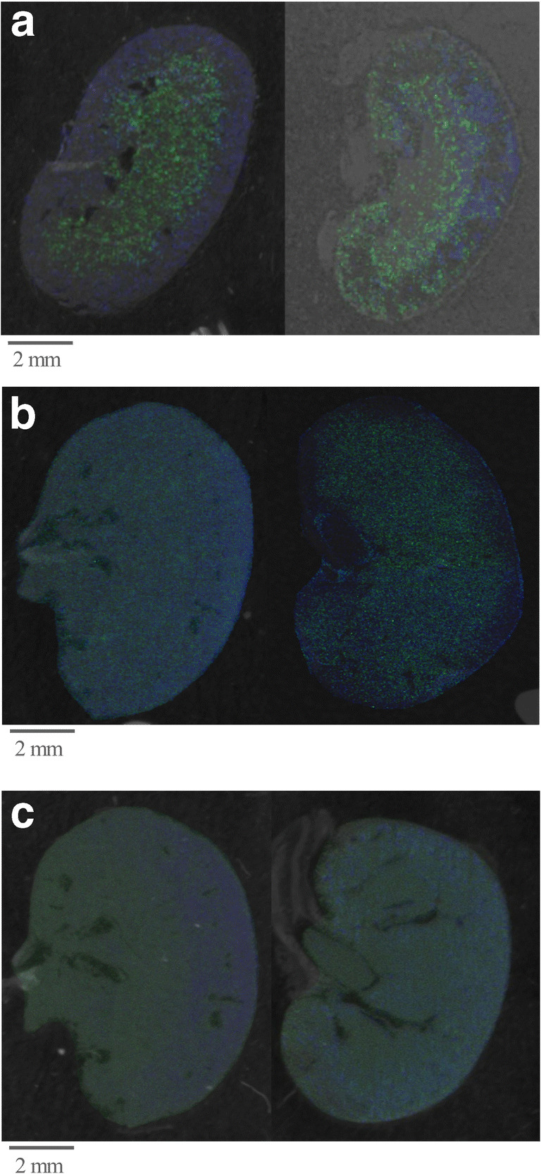 Fig. 5