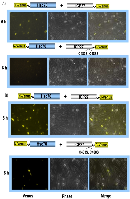 FIG 4 