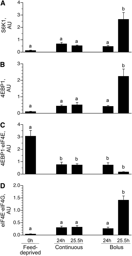 FIGURE 4