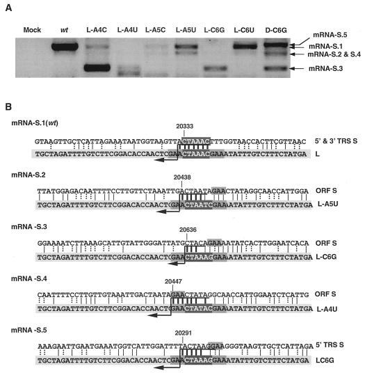 FIG. 9.