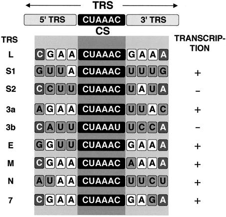 FIG. 11.