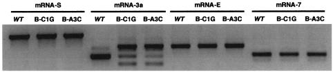 FIG. 5.