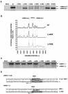 FIG. 10.