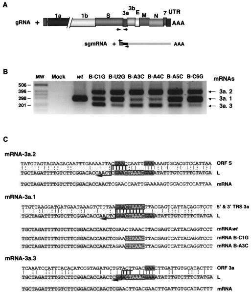 FIG. 4.