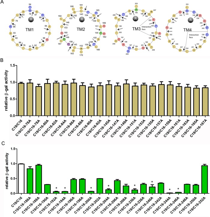 FIGURE 2: