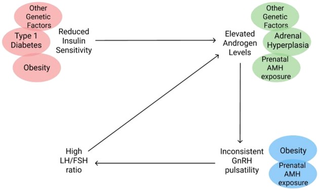 Figure 2.