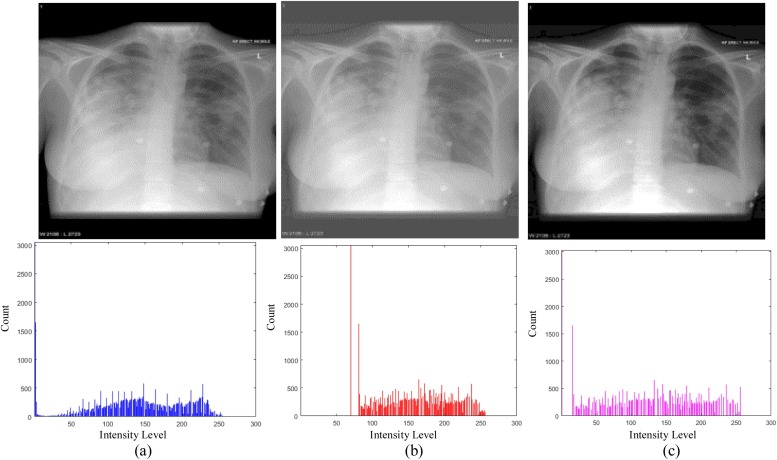 Fig. 3