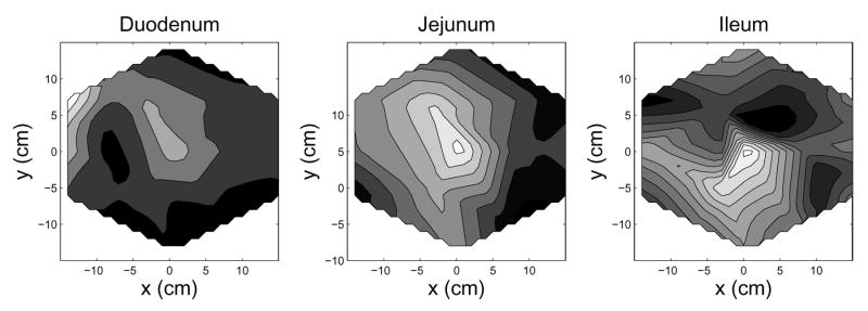 Fig. 8