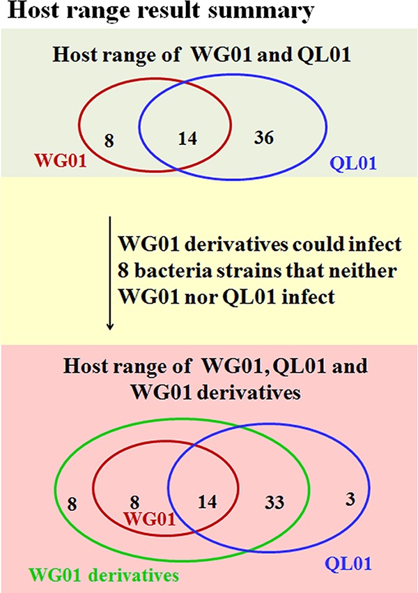 FIG 5