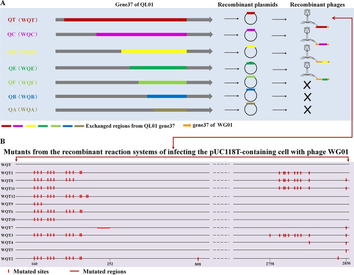 FIG 3