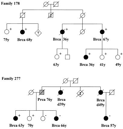 Figure  1