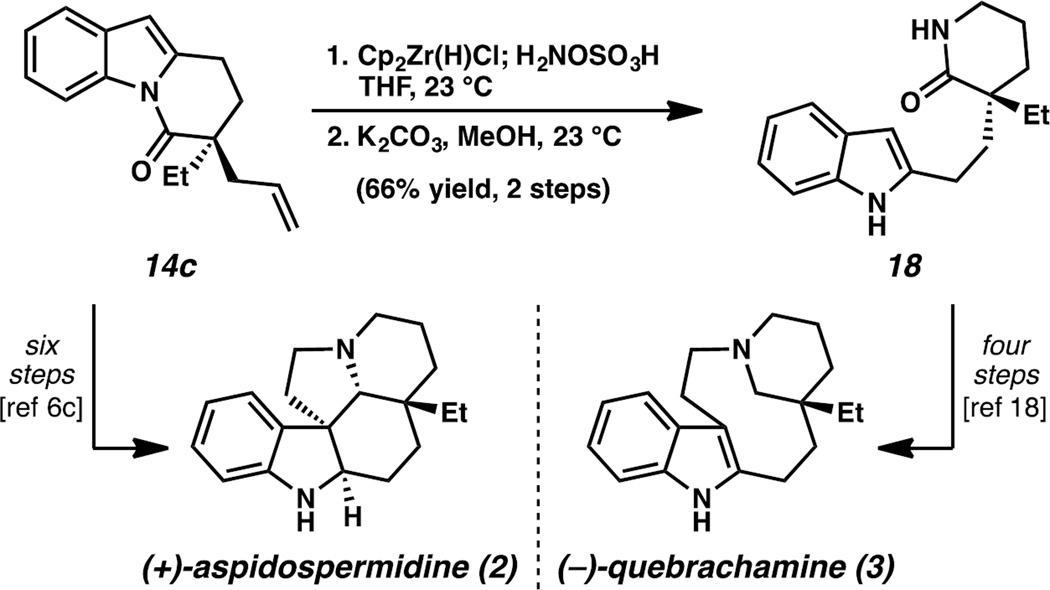 Scheme 5