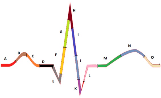 Fig. 10