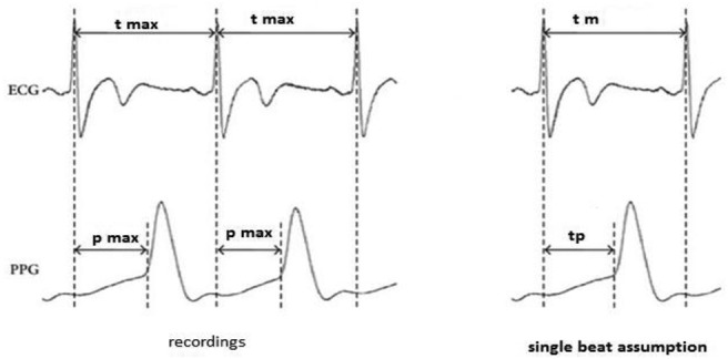 Fig. 9