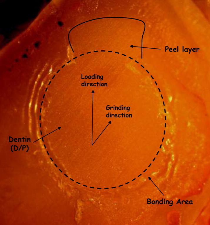 Fig. 5