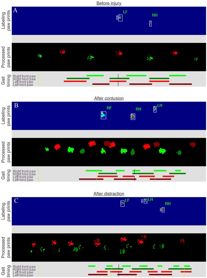 Figure 2.