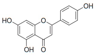 graphic file with name antibiotics-09-00045-i042.jpg