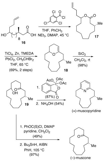 Scheme 3