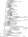 FIG. 1.
