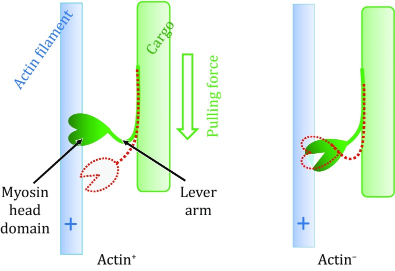 Fig. 1