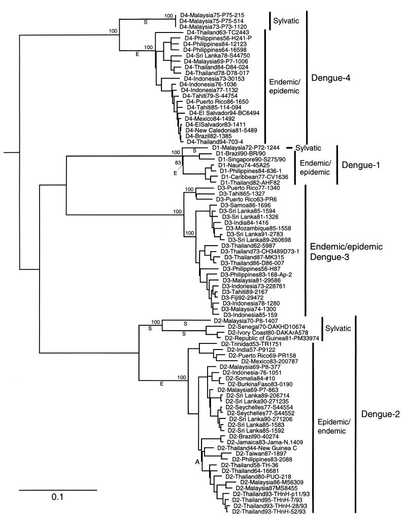 FIG. 1