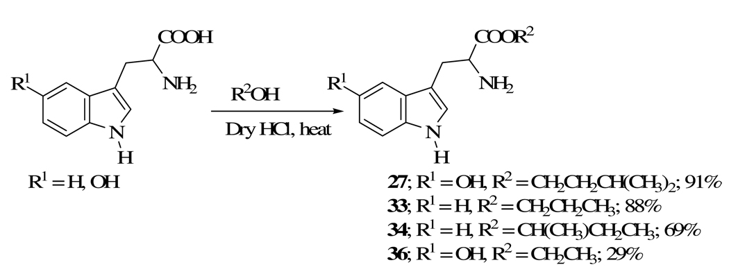 Scheme 5