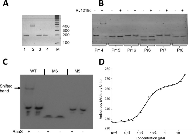 FIG 4