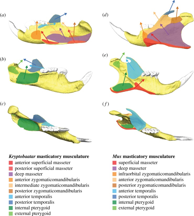 Figure 3.