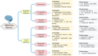 Figure 66