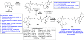 Figure 40