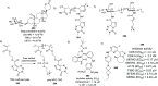 Figure 62