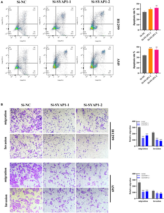 Figure 11